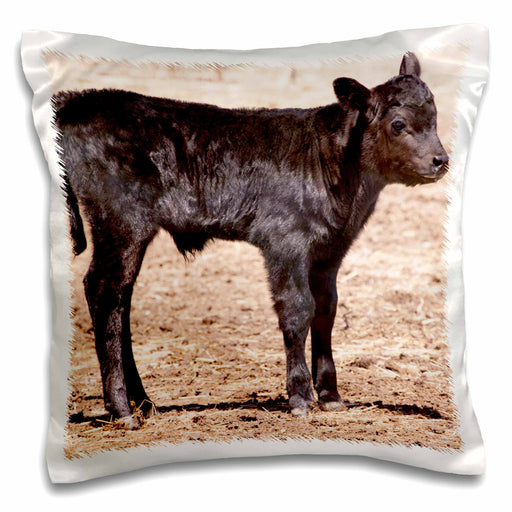 image of 16x16 inch Pillow Case