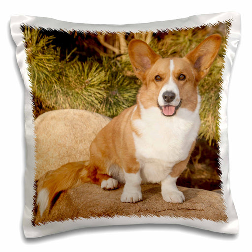 image of 16x16 inch Pillow Case