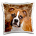 image of 16x16 inch Pillow Case