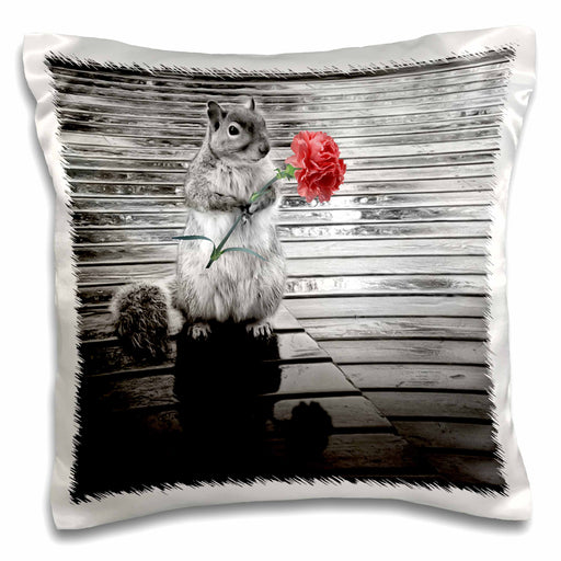 image of 16x16 inch Pillow Case