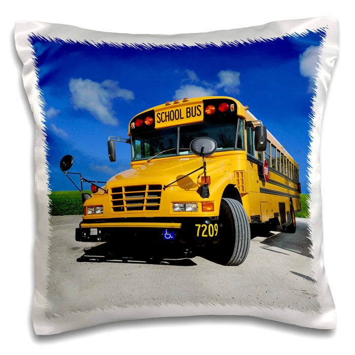 image of 16x16 inch Pillow Case