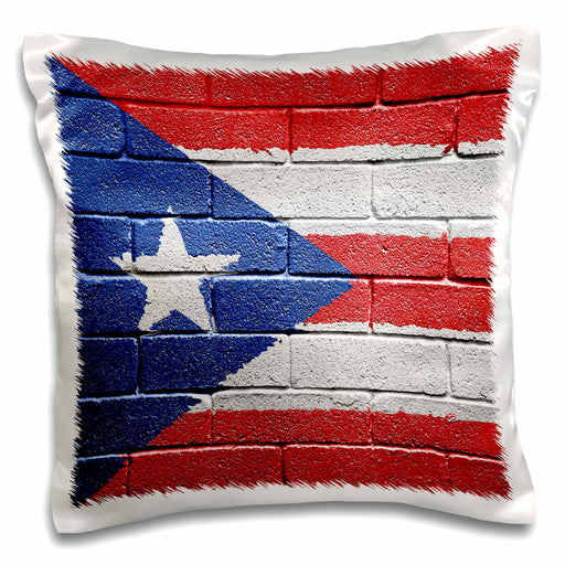 image of 16x16 inch Pillow Case