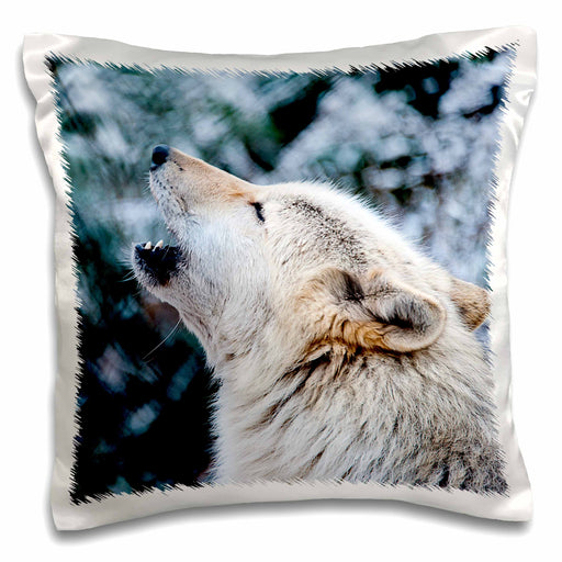 image of 16x16 inch Pillow Case