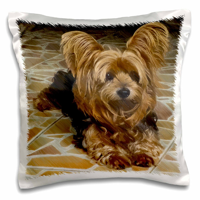 image of 16x16 inch Pillow Case