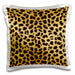 image of 16x16 inch Pillow Case