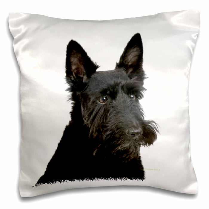 image of 16x16 inch Pillow Case