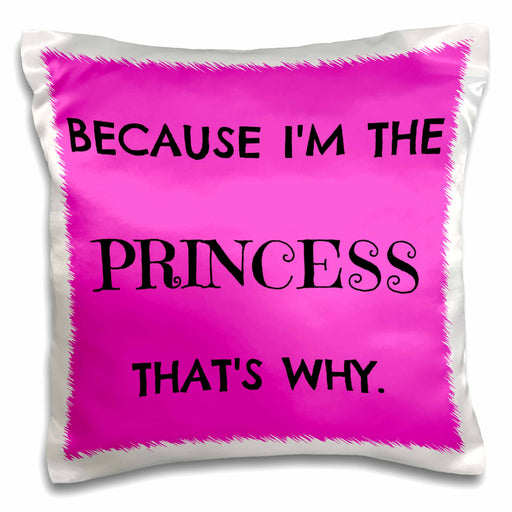 image of 16x16 inch Pillow Case