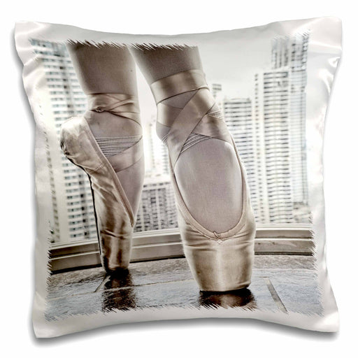 image of 16x16 inch Pillow Case