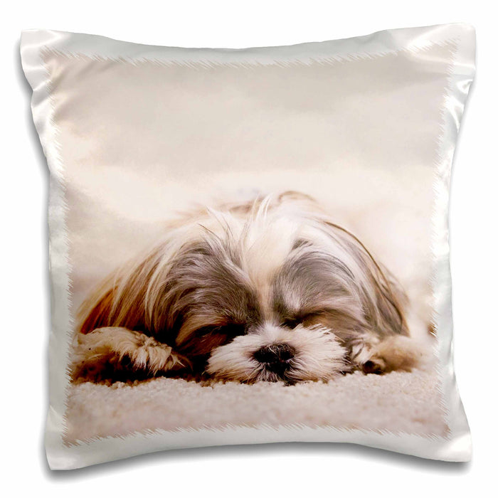 image of 16x16 inch Pillow Case