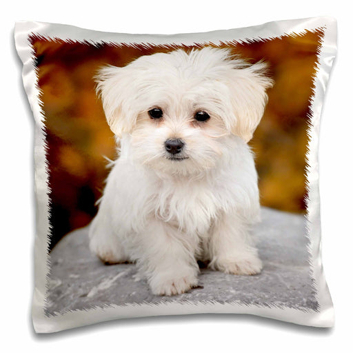 image of 16x16 inch Pillow Case