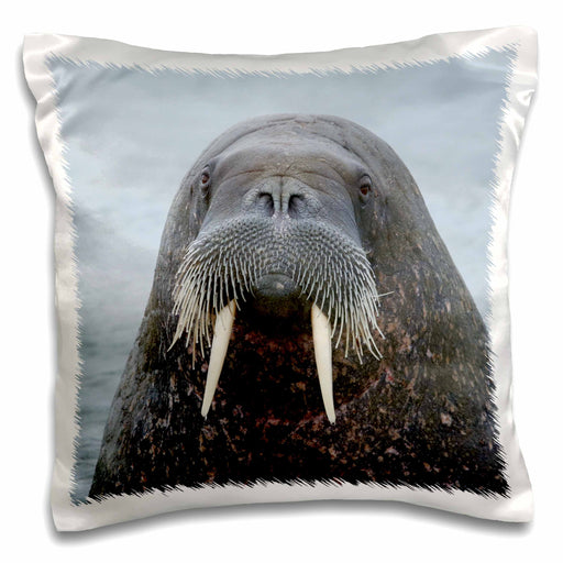 image of 16x16 inch Pillow Case