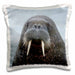 image of 16x16 inch Pillow Case