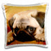 image of 16x16 inch Pillow Case