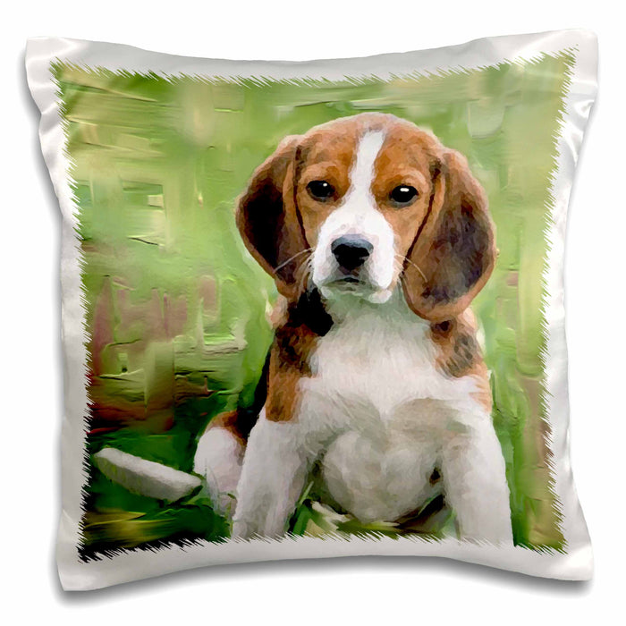 image of 16x16 inch Pillow Case