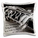 image of 16x16 inch Pillow Case