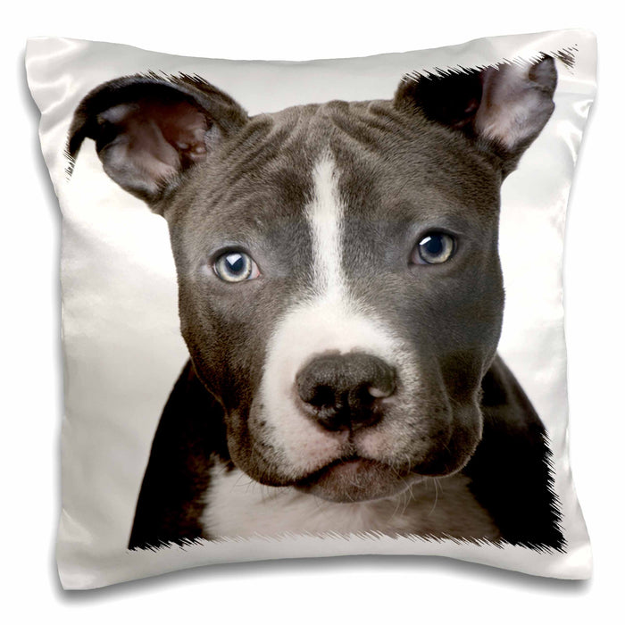 image of 16x16 inch Pillow Case