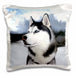 image of 16x16 inch Pillow Case