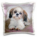 image of 16x16 inch Pillow Case