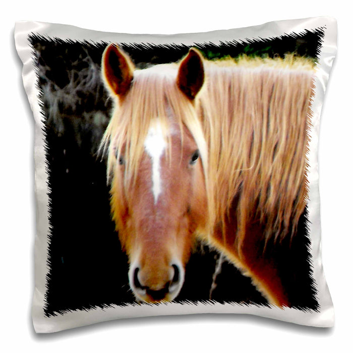 image of 16x16 inch Pillow Case