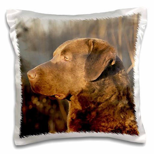 image of 16x16 inch Pillow Case