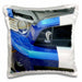 image of 16x16 inch Pillow Case