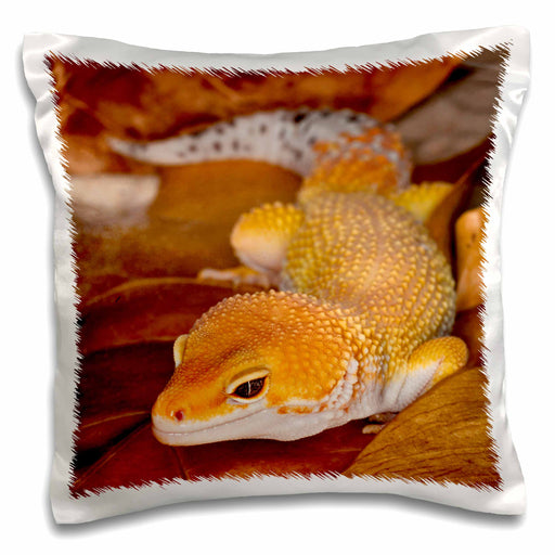 image of 16x16 inch Pillow Case