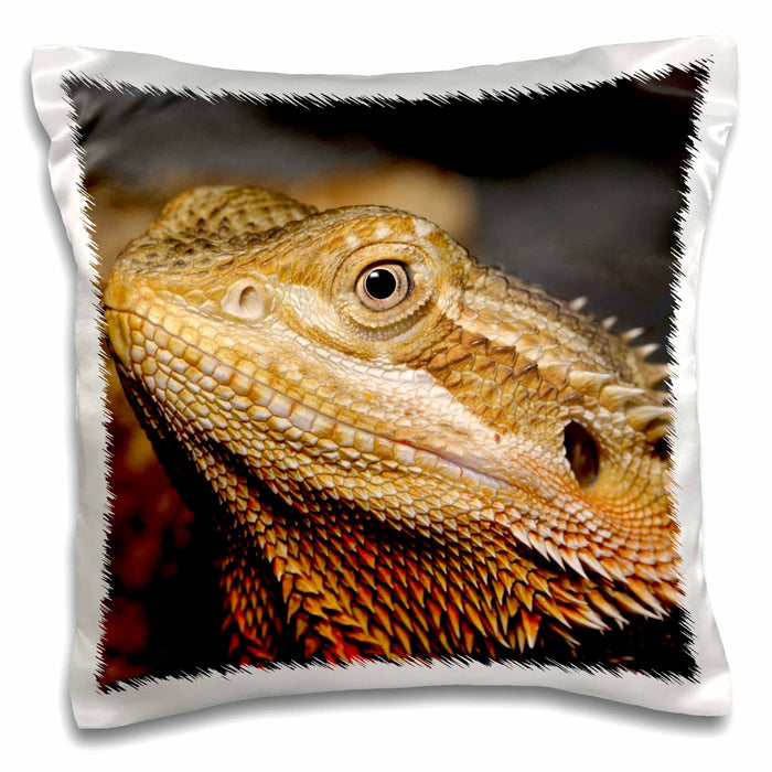 image of 16x16 inch Pillow Case