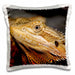 image of 16x16 inch Pillow Case