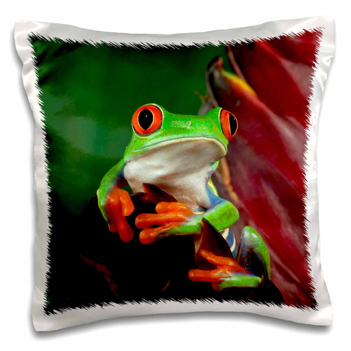 image of 16x16 inch Pillow Case