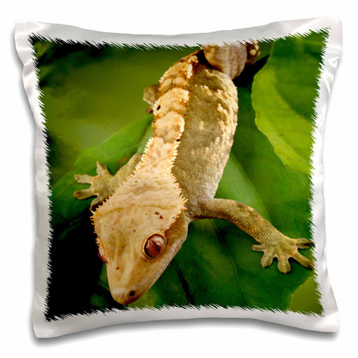 image of 16x16 inch Pillow Case