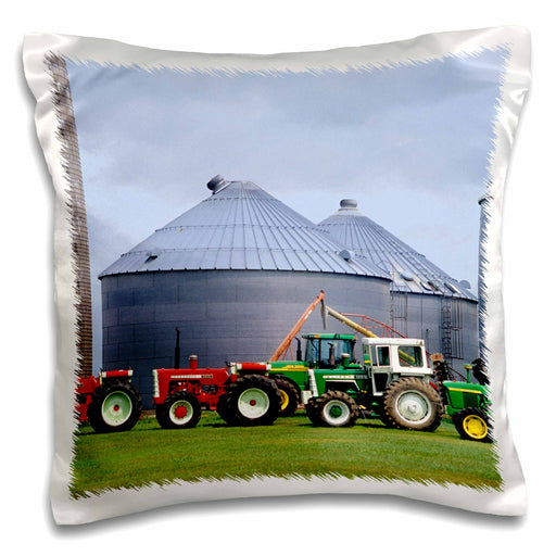 image of 16x16 inch Pillow Case