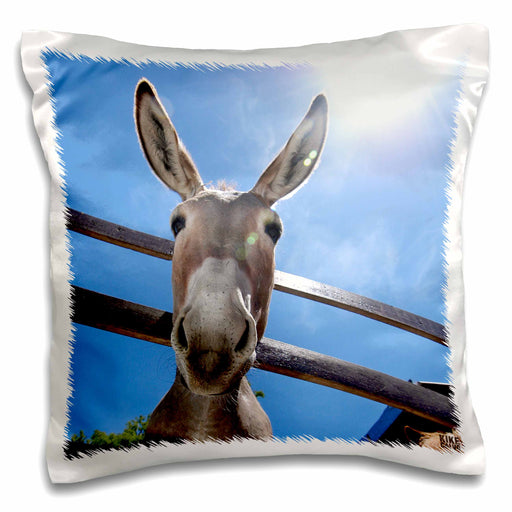 image of 16x16 inch Pillow Case