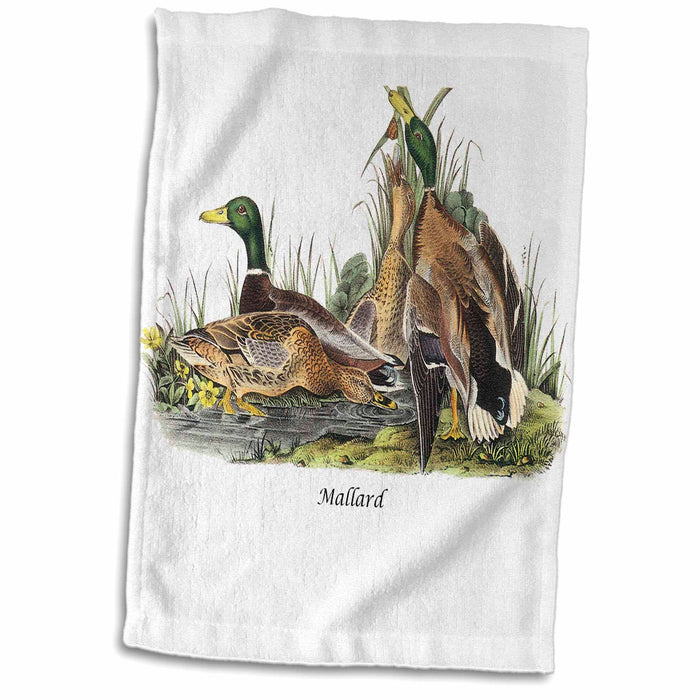 image of 15x22 Hand Towel