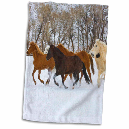 image of 15x22 Hand Towel