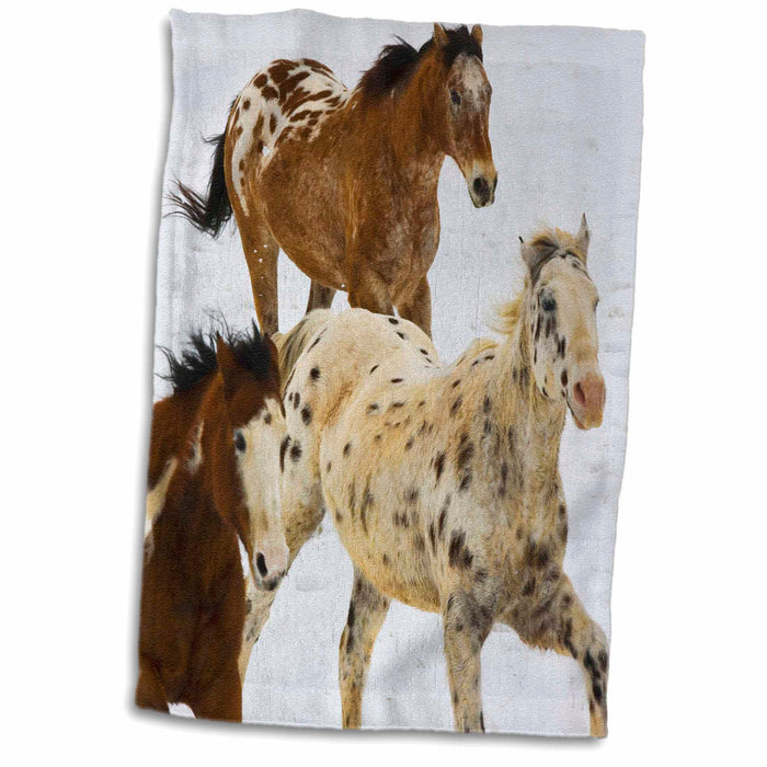 image of 15x22 Hand Towel