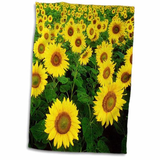 image of 15x22 Hand Towel