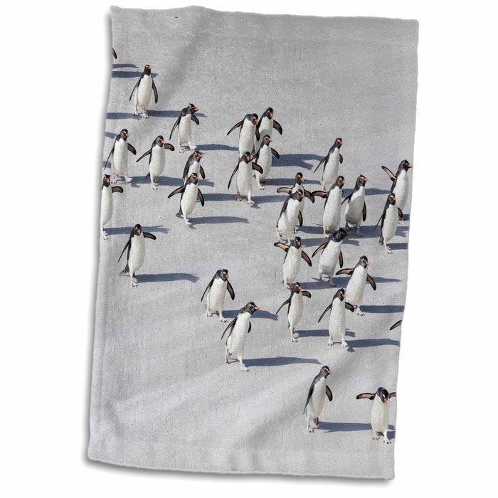 image of 15x22 Hand Towel