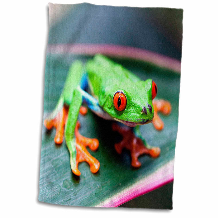 image of 15x22 Hand Towel