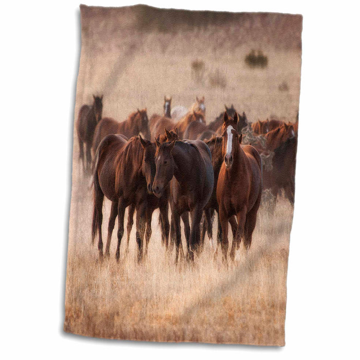 image of 15x22 Hand Towel