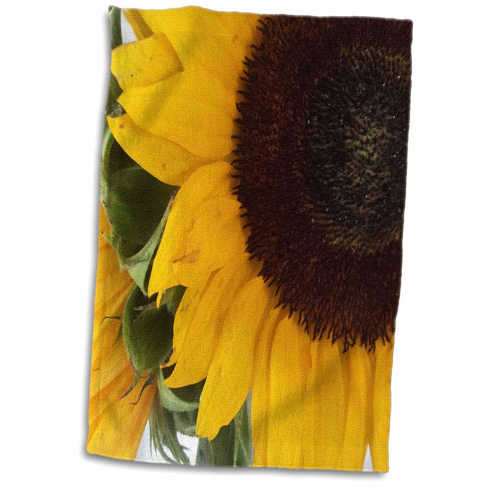 image of 15x22 Hand Towel