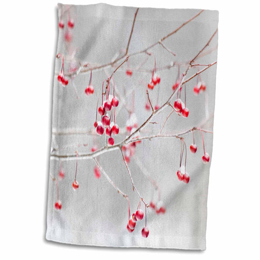 image of 15x22 Hand Towel