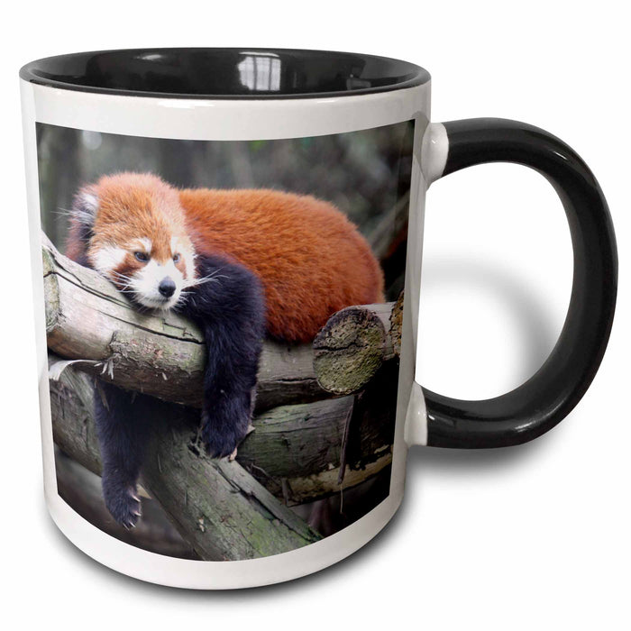 image of 11oz Two-Tone Black Mug