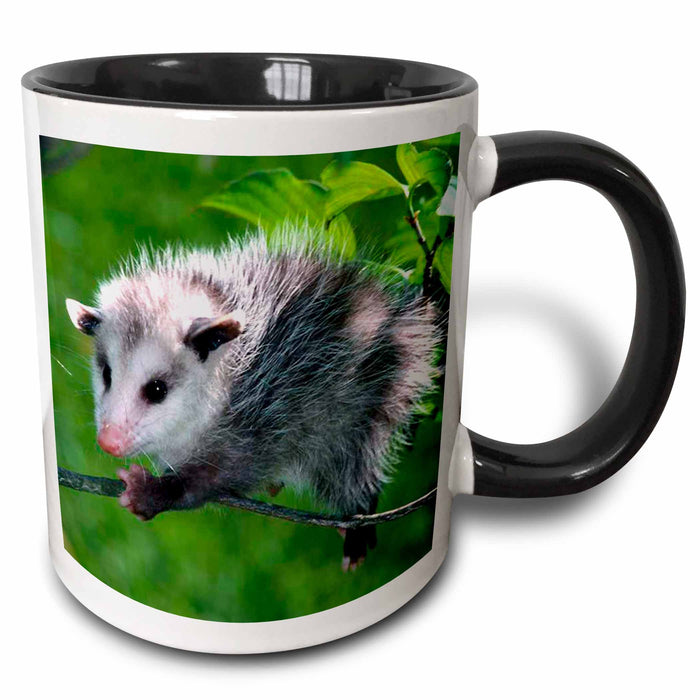 image of 15oz Two-Tone Black Mug