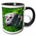 image of 15oz Two-Tone Black Mug