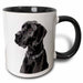 image of 11oz Two-Tone Black Mug