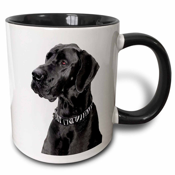 image of 15oz Two-Tone Black Mug