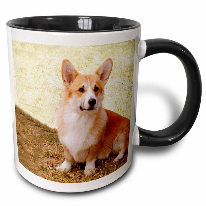 image of 11oz Two-Tone Black Mug