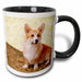 image of 15oz Two-Tone Black Mug