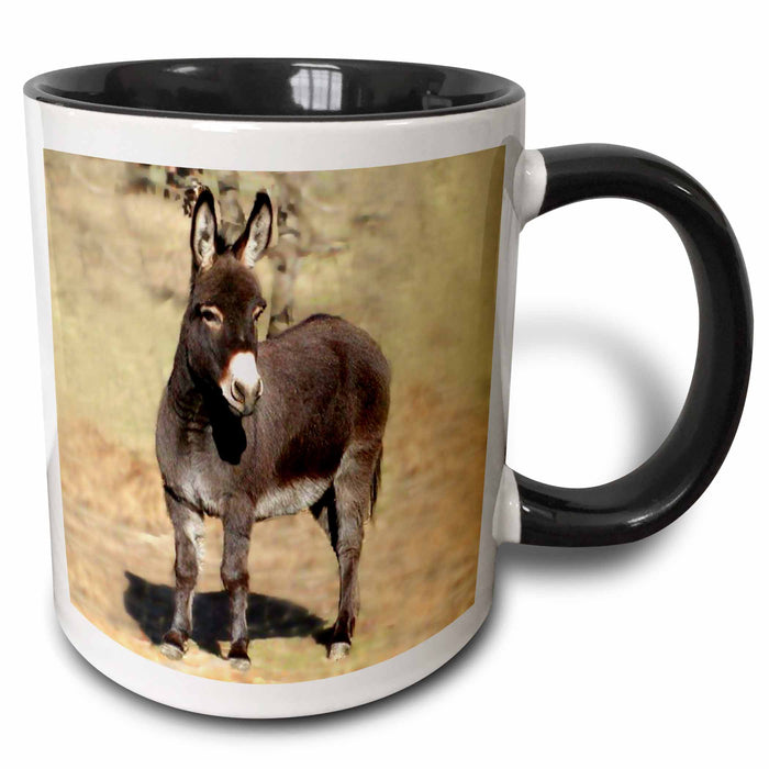 image of 15oz Two-Tone Black Mug