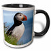 image of 11oz Two-Tone Black Mug